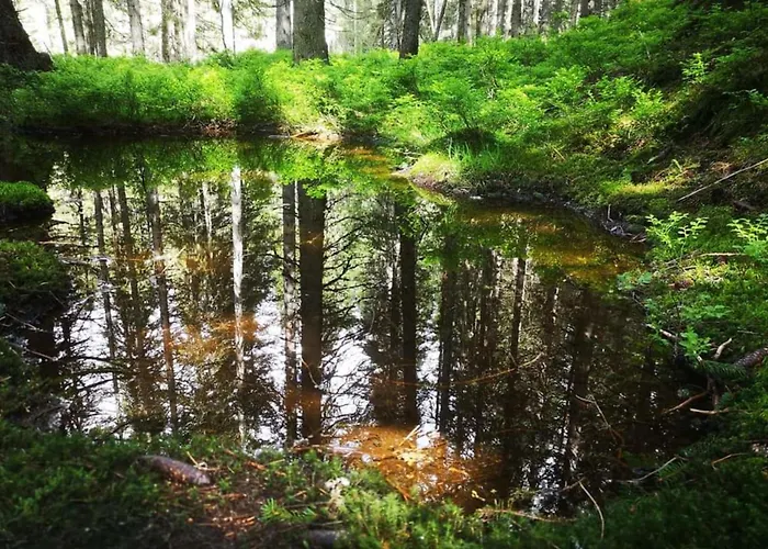 Lägenhet Eva 5 Rauris